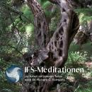 IFS-Meditationen zur Arbeit mit inneren Teilen nach Dr. Richard C. Schwartz Audiobook