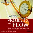 Projects that Flow: Mehr Projekte in kürzerer Zeit Audiobook