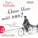 Kleiner Mann - was nun? (Gekürzte Hörbuchfassung) Audiobook