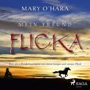 Mein Freund Flicka - Eine mitreißende Geschichte von einem Jungen und seinem Pferd Audiobook