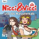 [German] - Nicci & Vicci - Ein Fall für die 2 ii-Pünktchen-Detektive, Teil 2: Fall 00: und das Karpa Audiobook