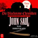 [German] - Das Irrenhaus: Horror-Schocker in 6 Teilen Audiobook
