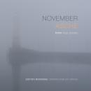 [German] - November Asche Audiobook
