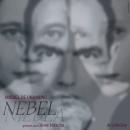[German] - Nebel Audiobook