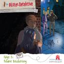 [German] - Die Alster-Detektive - Folge 5 Schöne Bescherung: Folge 5 - Schöne Bescherung Audiobook