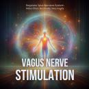 Vagus Nerve Stimulation: Regulate Your Nervous System. Reduce Stress. Beat Anxiety. Sleep Soundly. Audiobook