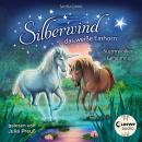 Silberwind, das weiße Einhorn (Band 4) - Sturmwolkes Geheimnis: Begleite das Einhorn Silberwind auf  Audiobook