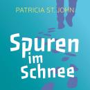 Spuren im Schnee Audiobook