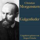 [German] - Christian Morgenstern: Galgenlieder Audiobook
