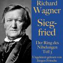 Richard Wagner: Siegfried: Der Ring des Nibelungen Teil 3 Audiobook