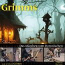 [German] - Das Märchen vom Dornröschen Audiobook