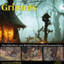 [German] - Das Märchen von Brüderchen und Schwesterchen Audiobook