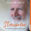 Staunen - Die Wunder im Alltag entdecken Audiobook