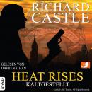Castle 3: Heat Rises - Kaltgestellt, Richard Castle