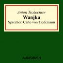 [German] - Wanjka Audiobook