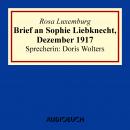 Brief an Sophie Liebknecht, Dezember 1917 Audiobook