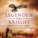 [German] - Im Schatten des Falken Audiobook