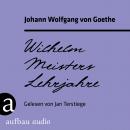 Wilhelm Meisters Lehrjahre (Ungekürzt) Audiobook