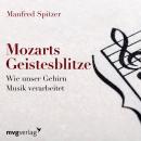 Mozarts Geistesblitze: Wie unser Gehirn Musik verarbeitet Audiobook