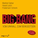 Big Bang: Vom Urknall zum Bewusstsein Audiobook