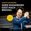 Herr Sonneborn geht nach Brüssel Audiobook