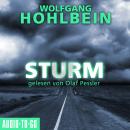 Sturm (Gekürzt) Audiobook
