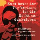 [German] - Kurz bevor der Tag beginnt, ist die Nacht am dunkelsten Audiobook