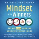Mindset of the Winners - The Big 4 in 1 Book for Unlimited Success in Life: Changing Habits | Settin Audiobook