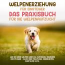 Welpenerziehung für Einsteiger - Das Praxisbuch für die Welpenaufzucht: Wie Sie Ihren Welpen liebevo Audiobook