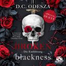 [German] - Die Entführung - Broken Blackness, Band 1 (Ungekürzt) Audiobook