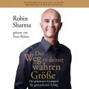 [German] - Der Weg zu deiner wahren Größe: Die geheimen Strategien für grenzenlosen Erfolg Audiobook