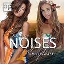 [German] - Silence, Noises, Perceptions Audiobook