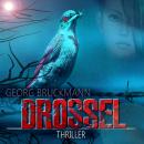 [German] - DROSSEL Audiobook
