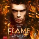 [German] - Dunkelherz und Schattenlicht: Flame 2 Audiobook