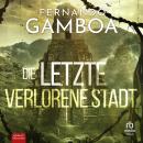 [German] - Die letzte verlorene Stadt Audiobook