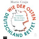 [German] - Wie der Osten Deutschland rettet: Lösungen für ein neues Miteinander Audiobook