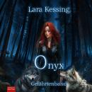 [German] - Onyx - Gefährtenband Audiobook