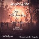 [German] - Die Offenbarung der Schleicher - Folge 3: Gefühlschaos Audiobook