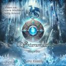 [German] - Eisprinz: Winteramulett 1 Audiobook