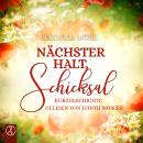 [German] - Nächster Halt, Schicksal: Kurzgeschichte Audiobook