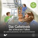 [German] - Folge 3: Das Geheimnis des schwarzen Falken: Die Rothstein-Kids Audiobook