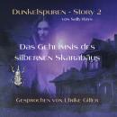 [German] - Dunkelspuren - Story 2: Das Geheimnis des silbernen Skarabäus Audiobook