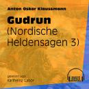 Gudrun - Nordische Heldensagen, Teil 3 (Ungekürzt) Audiobook