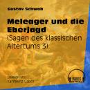 Meleager und die Eberjagd - Sagen des klassischen Altertums, Teil 3 (Ungekürzt) Audiobook