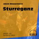 Sturreganz (Ungekürzt) Audiobook