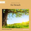 Der Besuch (Ungekürzt) Audiobook