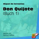 Don Quijote, Buch 1 (Ungekürzt) Audiobook