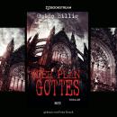 Der Plan Gottes - Thriller Reihe (Ungekürzt) Audiobook