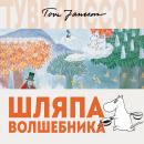 Шляпа Волшебника Audiobook