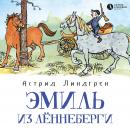 Эмиль из Лённеберги: Книга 1 Audiobook